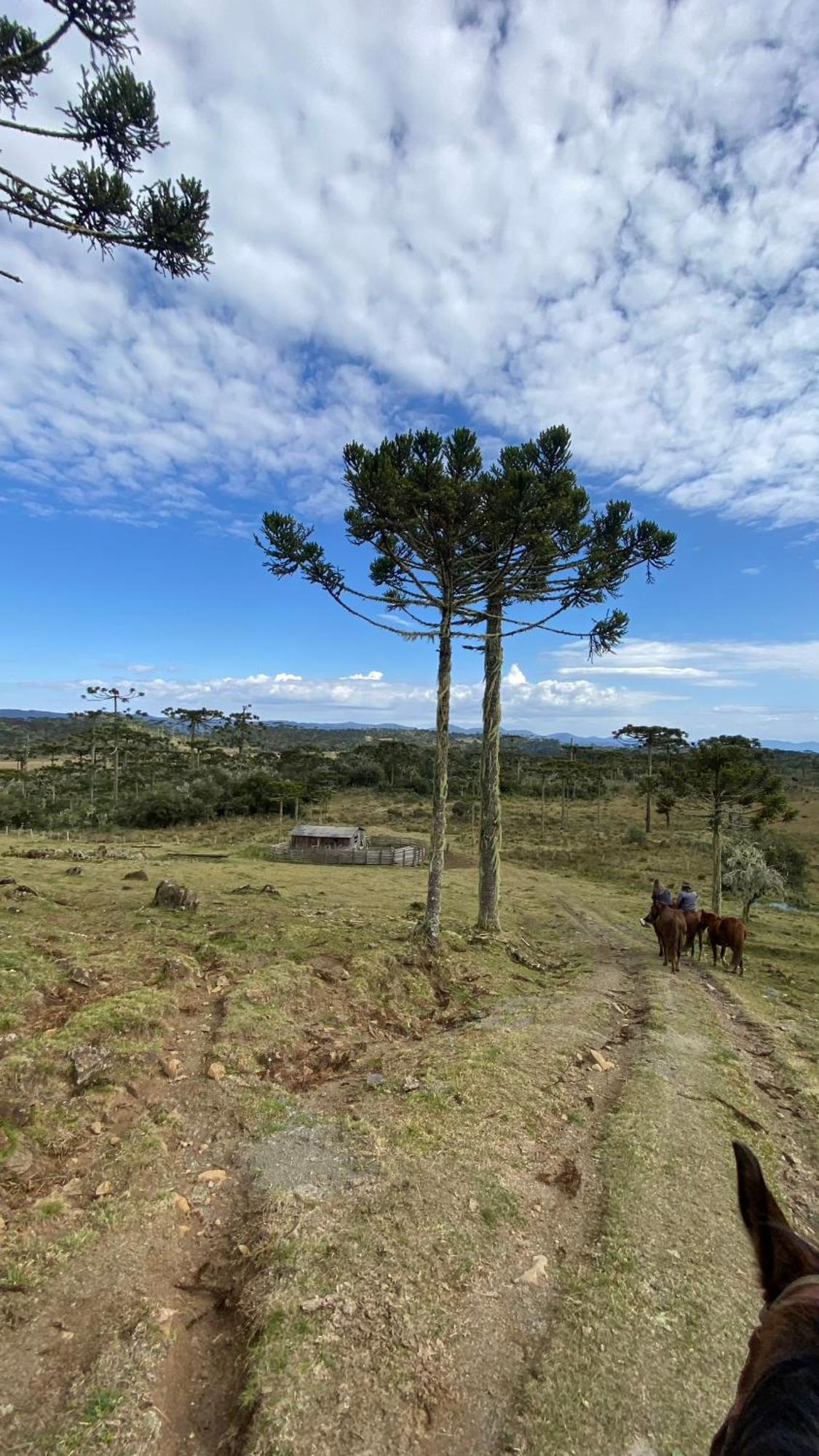 Vale Tancon Eco Village Urubici Exteriör bild
